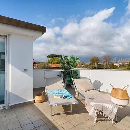 Pet Friendly In With Wifi Apartment